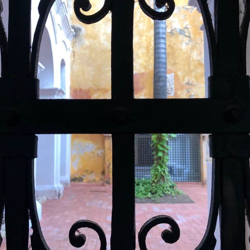ナネットレポーのインスタグラム：「Secret courtyard! 👁」