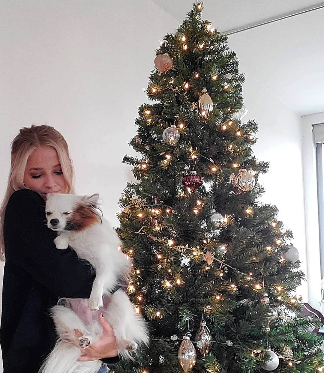 ジャッキー・エヴァンコさんのインスタグラム写真 - (ジャッキー・エヴァンコInstagram)「You could say I'm excited for Christmas 😅  #puppies #christmas #2019 #helovesme」11月20日 4時24分 - officialjackieevancho