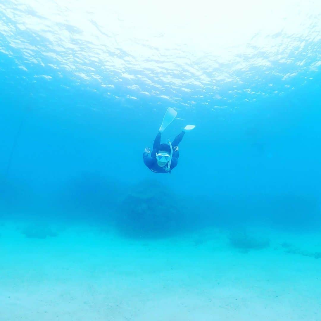 奇妙礼太郎さんのインスタグラム写真 - (奇妙礼太郎Instagram)「#skindiving」11月20日 14時23分 - reitaro_strange