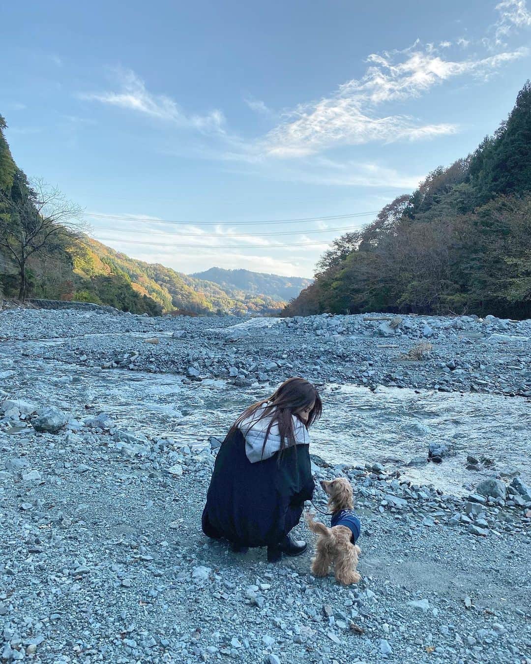 のインスタグラム：「あっという間に2019年が終わりそう。﻿ テディくんも、もうすぐ5歳。﻿ ﻿ 早いなぁ。早すぎる。﻿ ﻿ これからもたくさん思い出つくろうね。﻿ ﻿ ﻿ ﻿ #中津川　#中津川キャンプ場 #中津川キャンプ　#やどろぎ荘　#蜂花園　#蜂花園やどろぎ荘　#キャンプ場　#源流の郷　#足柄　#神奈川県　#紅葉　#japan #japanautumn #autumn #bbq 人生転生したいネガティブホロウくらってる風邪っぴきの投稿」
