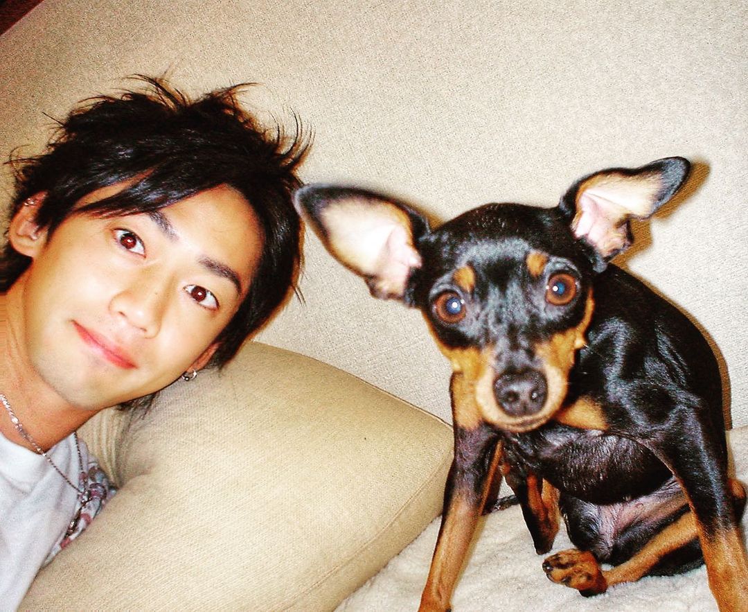 のインスタグラム：「#mybeloveddog #myfamily #16yearsold #rip」