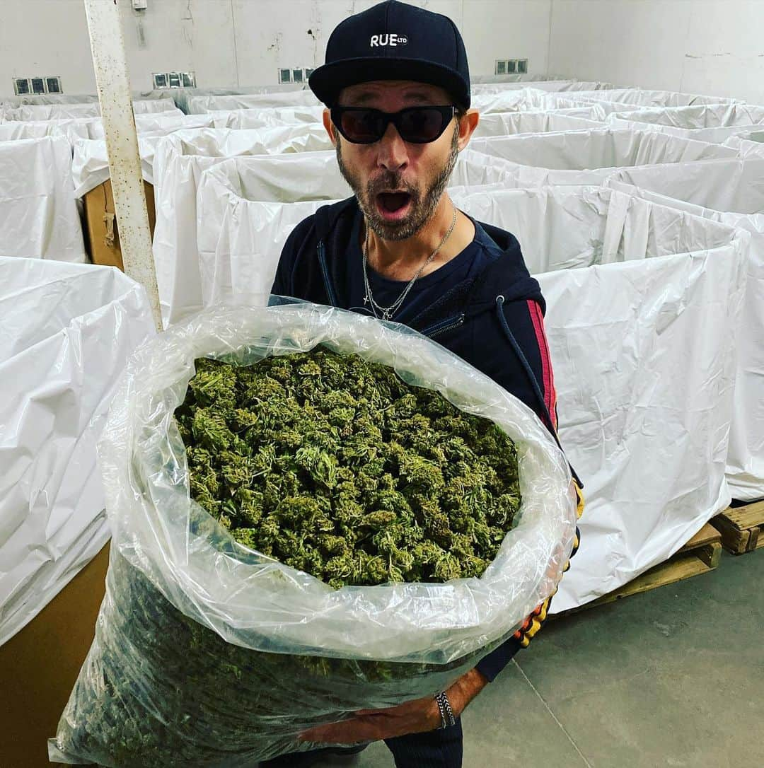 マイク・ダーントさんのインスタグラム写真 - (マイク・ダーントInstagram)「Getting ready for the AMA’s 😱 Swung by the farm @goldenseed #HempPower 👊🏽🌱 #cbd #organicmedicine #HempDontGetYouHigh #georgewashingtongrewit #americanmusicawards2019 #GREENday」11月20日 7時07分 - mikedirnt