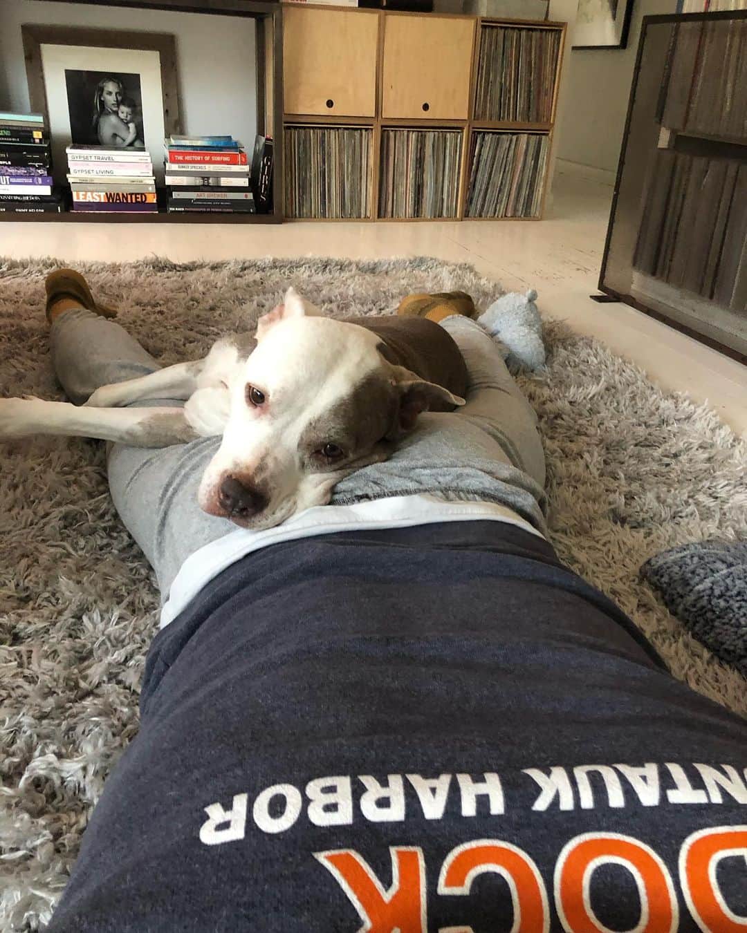レイラニ・ビショップのインスタグラム：「Tuesday 🐶..remembering Sunday #shiva #pitbulls #sunday #dock」