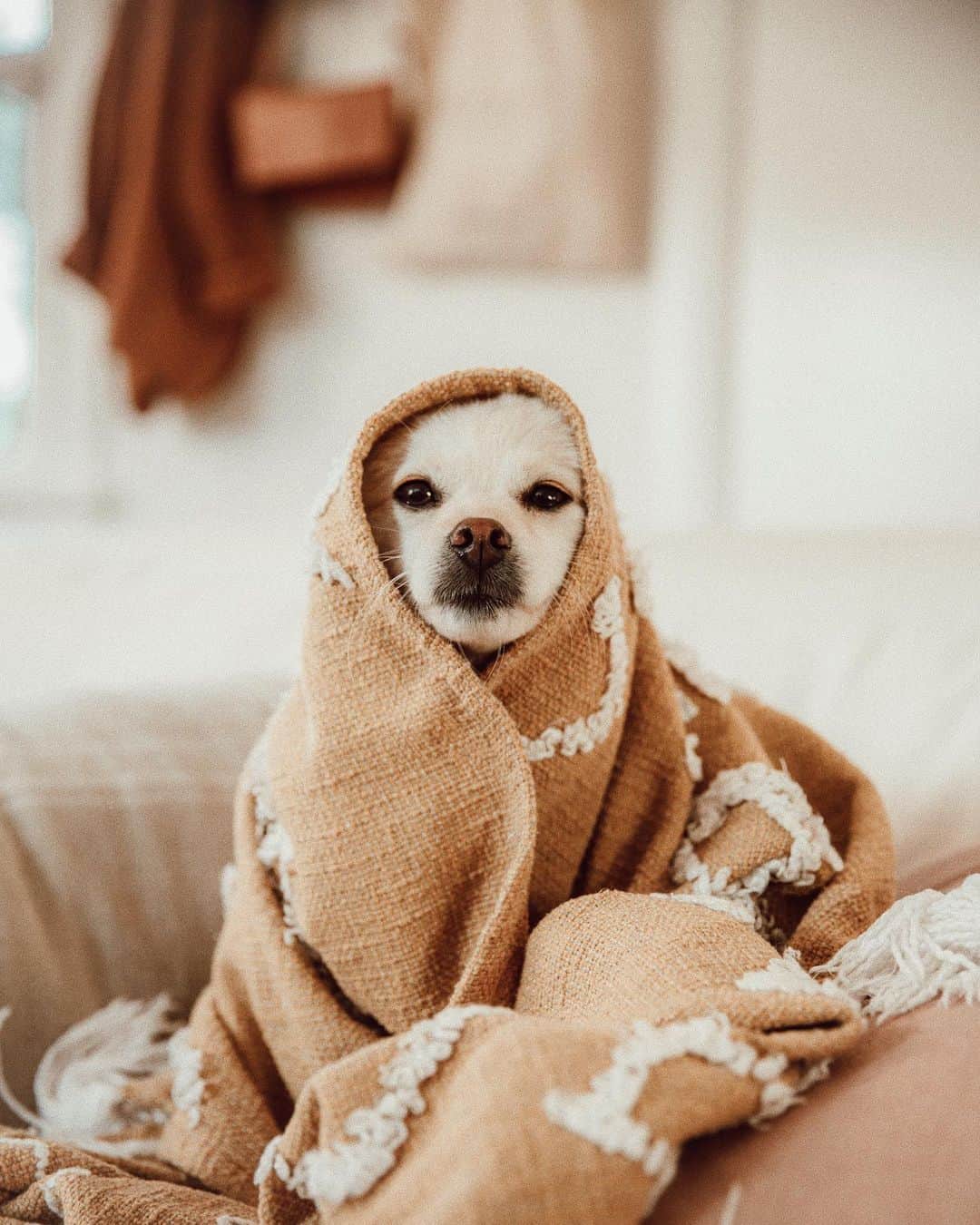 W E Y L I Eのインスタグラム：「Everyone asking when I’m having kids and I’m over here like...🤷🏻‍♀️」