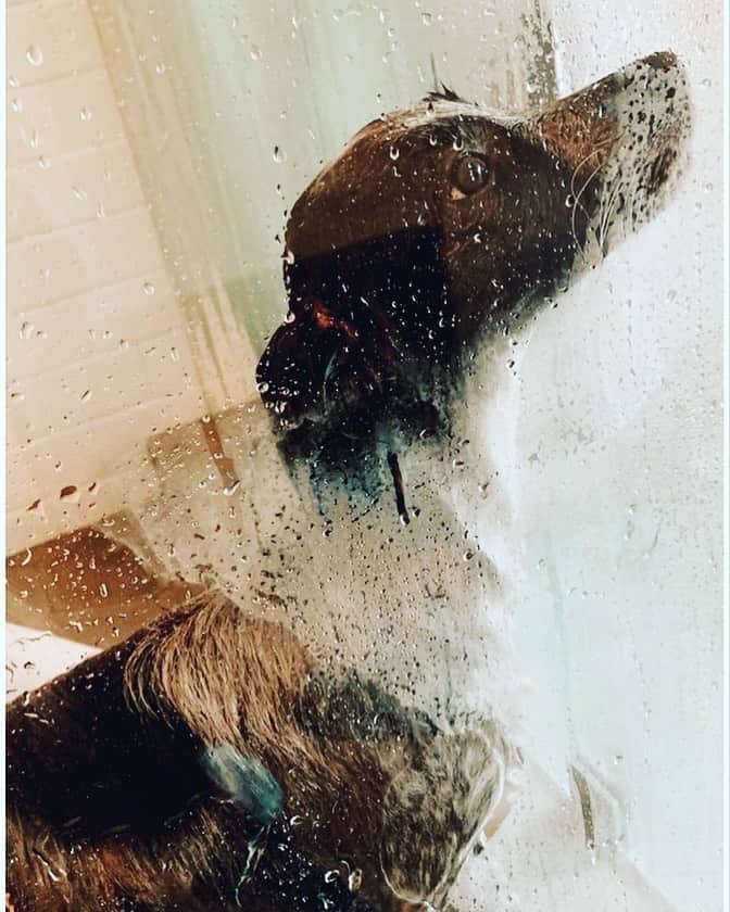 キャサリン・メーニッヒのインスタグラム：「Clean」
