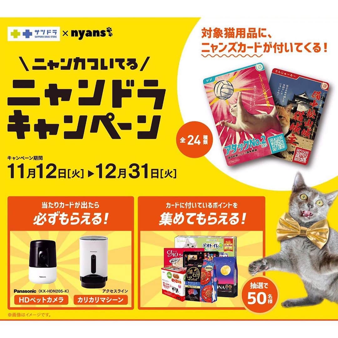 Shishi-maruさんのインスタグラム写真 - (Shishi-maruInstagram)「🐾nyans 猫社員で「裏ボス」の肩書きを持つししまるが「ニャンズカード」になりました！﻿ ﻿ 🐈この「ニャンカ」は北海道のサツドラ(サッポロドラッグストア)さんの店頭に11月12日から並ぶそうです。﻿ うちの子だけでなく合計24匹のユニークな猫ちゃんたちいるので、ぜひ手にとってみてください！﻿ ﻿ 🎯激レア当たりカードが出ると、「HDペットカメラ」や「カリカリマシーン」が必ずもらえるそうです。カリカリマシーン、うちも使っていますがとっても便利です。当たらなくても集めてもらえるキャンペーンがあるので、楽しんでゲットしてみて下さい。﻿ ﻿ https://satudora.jp/nyandora/﻿ ﻿ #ニャンズカード#ニャンドラキャンペーン」11月20日 10時01分 - emonemon