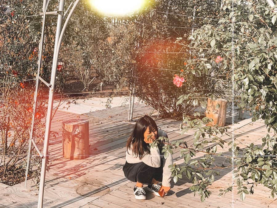 Miyuuのグルメインスタ