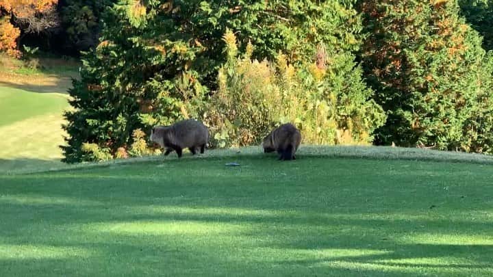 片山真人のグルメインスタ