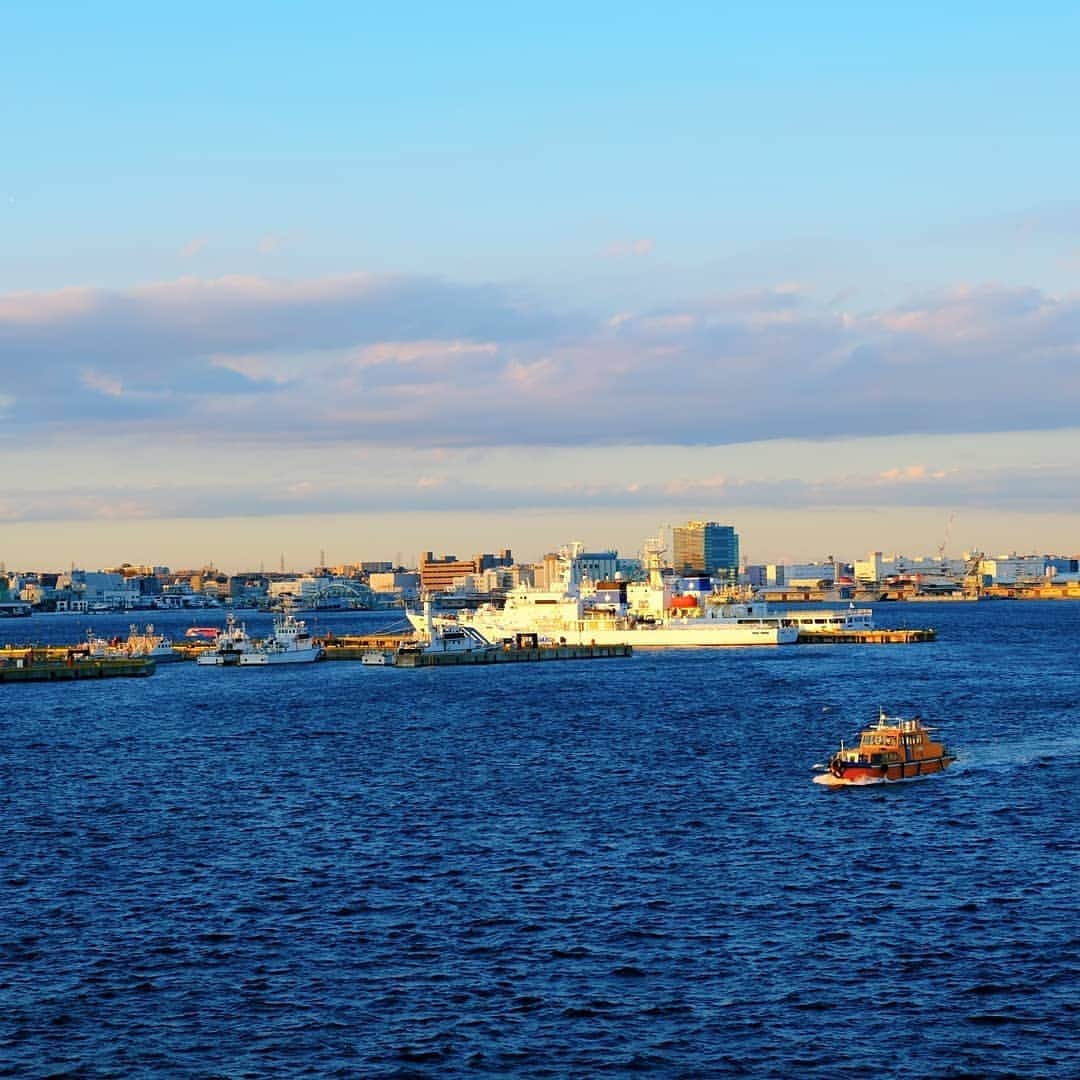 なっつ。さんのインスタグラム写真 - (なっつ。Instagram)「横浜おでかけきろく④ この後は買い物しながら #みなとみらい をぶらついて #大桟橋 に行って夕陽をみて スシロー寄って帰ってきた♬ 楽しかった♡ 横浜って定期的に来たくなるな♪ ・ ・ #横浜#yokohama#minatomirai#なっつの絵日記」11月20日 10時32分 - punipopo