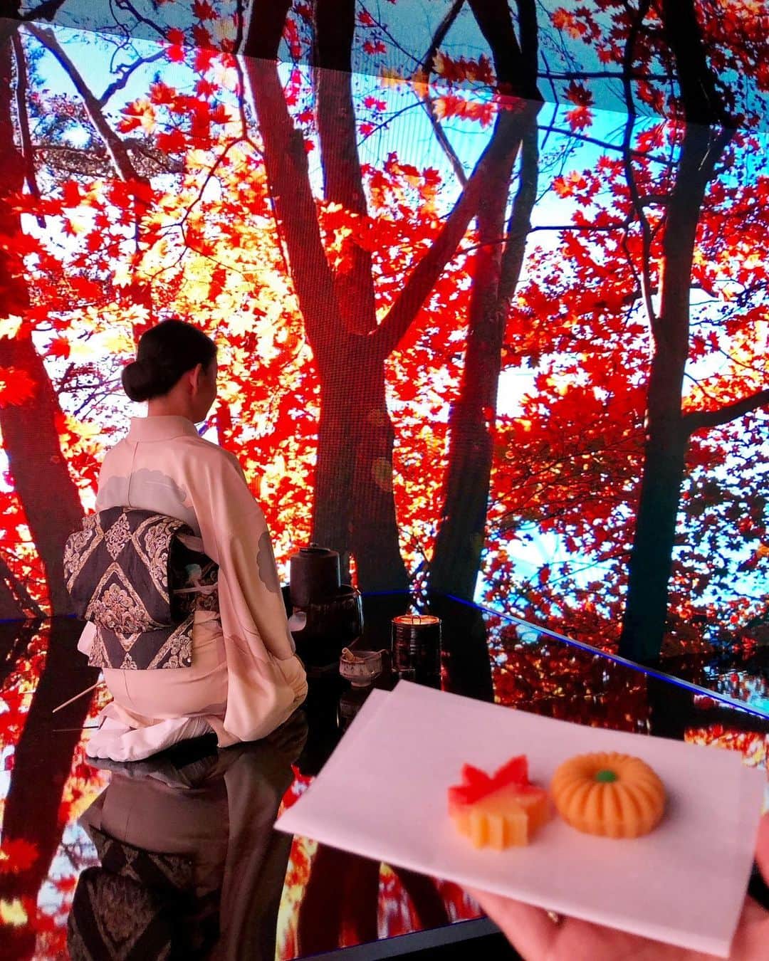 黒田麻理耶さんのインスタグラム写真 - (黒田麻理耶Instagram)「. センチュリオン・ラウンジの空間が素敵過ぎた🥺✨ . 世界中で展開されている 「The Centurion Lounge Pop Up」の一環として 11月20日〜24日までの期間限定で センチュリオン・ラウンジ「東京離宮」がオープン🎉 （会員専用特別ラウンジです✨） . とにかくもう素敵過ぎて😍 ラウンジの中央スペースには、 紅葉を味わえるモニュメントがあって🍁 ゆっくりと寛ぎながら フィンガーフードやドリンクを楽しめます🥂 . デジタル茶室が幻想的で美しくて とても素晴らしかった✨🍵 お抹茶も和菓子も美味しゅうございました🙇‍♀️ . 📍東京都渋谷区神宮前6-35-6 ジング内 🕒11月20日(水)〜24日(日) 12:00〜20:00 . #TheCenturionLounge  #東京離宮  #pr #Americanexpress  #センチュリオンラウンジ」11月20日 10時35分 - mariya_kuroda
