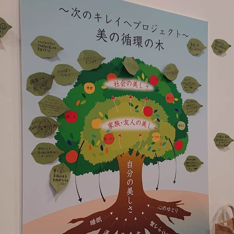 渡辺めぐみさんのインスタグラム写真 - (渡辺めぐみInstagram)「🍀アンちゃんとアンちゃんママと、新スキンケアブランド「Natures  for」のイベントへ🍀 🍀🍀次のキレイへ🍀🍀 プロジェクト😁👍👍👍 単なるオーガニックコスメではなく、お肌のしくみに沿った根幹美スキンケア❤️❤️❤️ 何でも、しくみが分かると、良いよね⤴️⤴️⤴️⤴️⤴️ へちま水を、使っているそうです😁❤️👍 へちま王も、いました😁  中山さん、いつも有り難うございます😁❤️👍 またまた、勉強になりました😁❤️❤️❤️😁 #次のキレイへプロジェクト#ネイチャーズフォー#naturesfor #根幹美スキンケア #neonaturel#ネオナチュラル#へちま水 #ヘチマ #instagrammer #instagramjapan #instagram #instagramgood #instagramlike」11月20日 10時44分 - meguheart