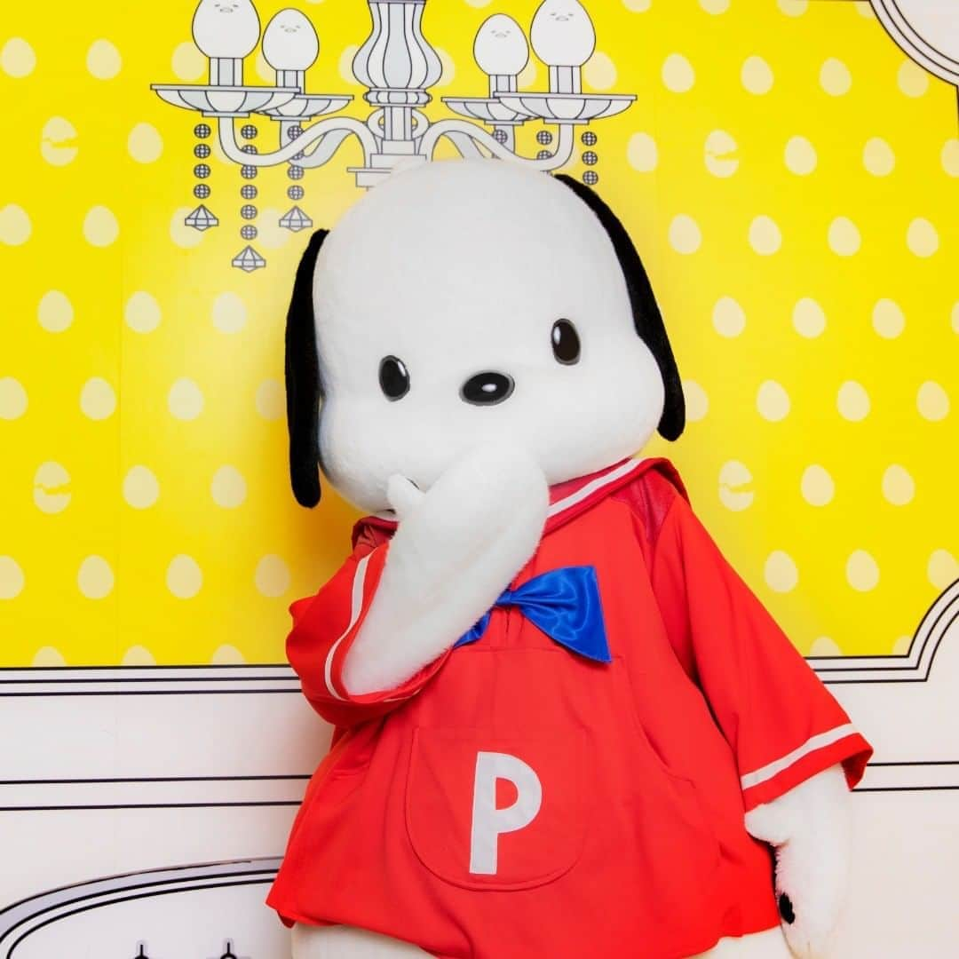 Sanrio Purolandさんのインスタグラム写真 - (Sanrio PurolandInstagram)「11月はワンワン月間🐶 お散歩ではより道が大好きなポチャッコの登場です！  好奇心旺盛でおっちょこちょい！だけど「好きなお花は、れんげ草」なんて繊細な一面も…💐 みなさんはポチャッコのどんなところが好きですか？ コメントで教えてください✉️ ピューロランドでポチャッコと写真をとったら #ピューロジェニック をつけて投稿してね💙  #サンリオピューロランド #sanriopuroland  #ポチャッコ #ポチャッコ推し #キャラグリ #犬 #いぬすたぐらむ #ピューロランド #ピューロ #サンリオ #テーマパーク #インスタ探検隊 #お出かけスポット#推し事 #推しのいる生活 #可愛いものが好き #ミーハー女子 #パステルカラー #ゆめかわ #ファンシー #雑貨 #ピューロ写真部」11月20日 11時00分 - purolandjp