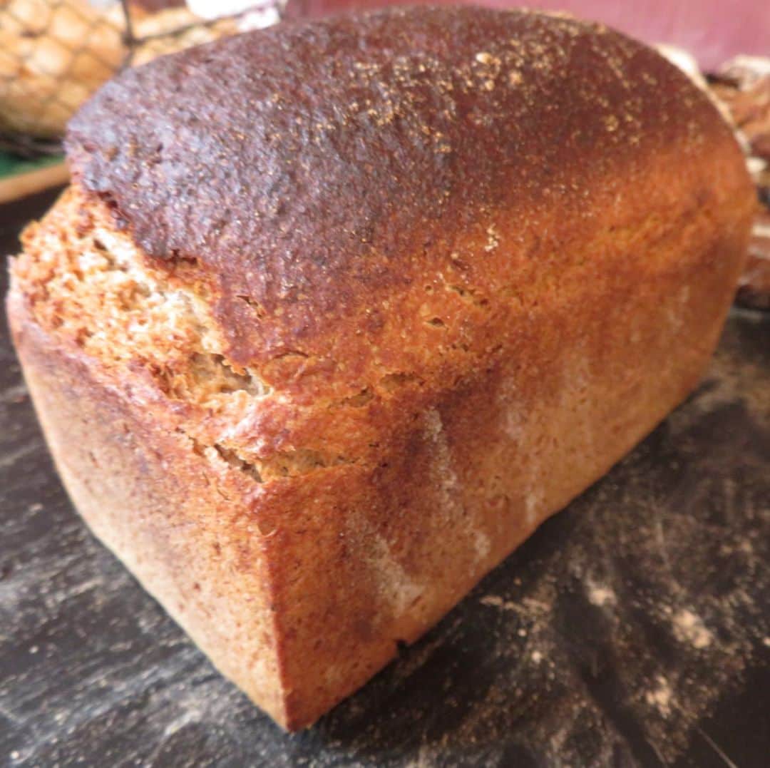 魔女菅原のグルメインスタ