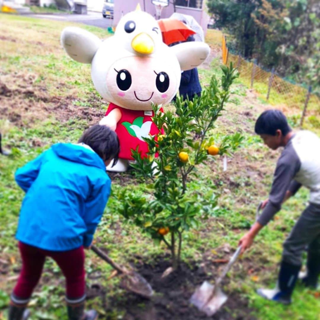 平和堂イメージキャラクター「はとっぴー」のインスタグラム