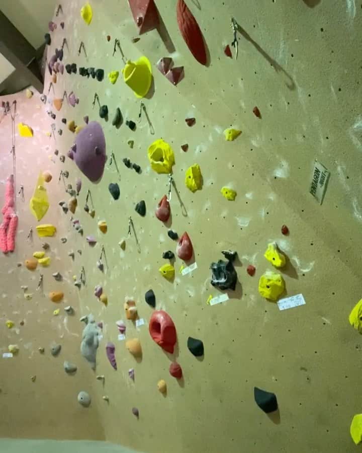 興梠友理のインスタグラム：「【術後8ヶ月 / 8 months post-surgery】 I tried lead-climbing for the first time after my injury last year✨ ・ 一年以上ぶりにリードクライミング‼️ 最初、8の字結びも危うかったけど、一回やったら身体が思い出しましたwww ・ トップロープと違ってリードはポジションを安定させるためにヒール使うことも多いし、一つ目のクリップをするまでの安全確保できていない緊張感が怖くて躊躇してたけど、この日はトップロープで前回出来なかったルートも登れて自信がついてきたからチャレンジしてみてました😤 ・ 流石に5.10aまでしか登らなかったけど、最後に追い込みで3本連続で登れたりもしたから、次回はグレード上げてみようかな♪(左ヒールはもちろん封印で) ・ やれることが少しずつ増えるのはやっぱり嬉しいね〜😊 ・ #努力は絶対裏切らない #ろぎ子の復活までの記録 #膝脱臼 #複合靭帯損傷 #前十字靭帯断裂 (ACL) #後十字靭帯断裂 (PCL) #内側側副靱帯断裂 (MCL) #内側膝蓋大腿靭帯断裂 (MPFL)  #前十字靭帯再建 #後十字靭帯再建 #半月板縫合 #半月板部分切除 #nevergiveup #roadtorecovery #kneeinjury #kneeinjuryrecovery #kneeinjuryrehab #multipleligamenttears #aclrecovery #bouldering #climbing #climbparkbasecamp #ベースキャンプ入間 #クライミング #ボルダリング」
