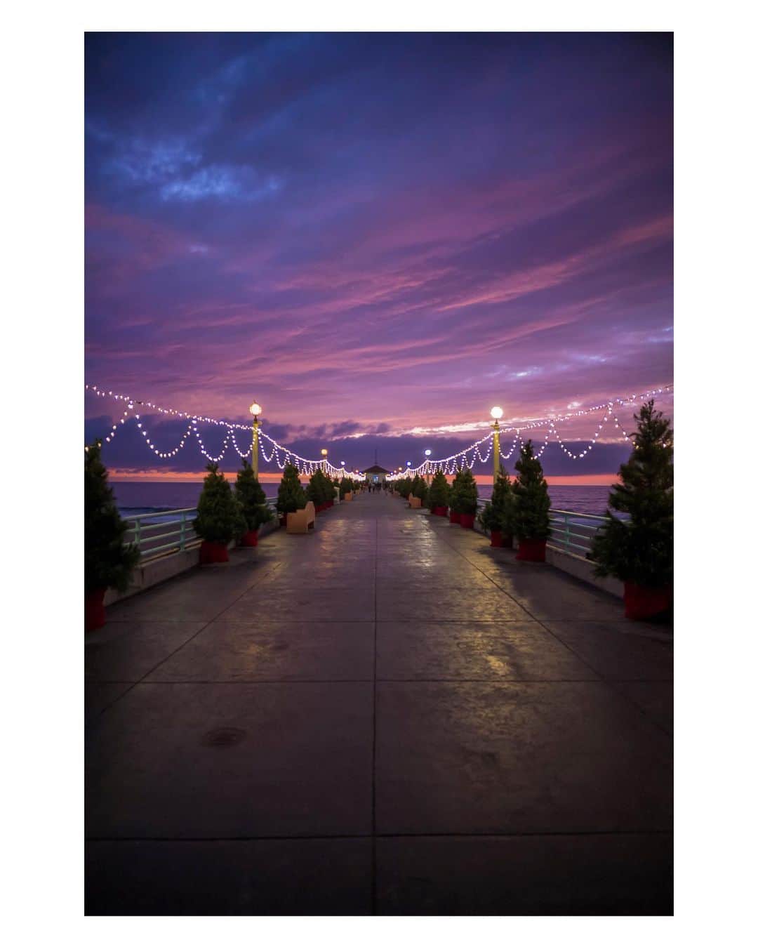 Pete Halvorsenのインスタグラム：「It’s beginning to look a lot like... . I took advantage of a “locals only” sneak peak tonight...locals only because I’ve been coming down to the pier the night before the “Holiday Pier Lighting” ceremony (it’s tomorrow night Nov 20th) for a quite a few years now. . I learned back then the city always tests the lights for a few minutes the night before the “big show” it’s the only time you can get an empty pier with the Christmas trees & hopefully a nice sunset like tonight. . So I stood at the front of the Pier as everyone left...sure enough at 1700 a city maintenance truck pulled up. The guy slowly strolled over to “the magic holiday box” and with a flip of the switch the season began. I couldn’t quite tell, but I’m pretty sure the maintenance worker smiled when the lights went on. So tomorrow night the rest of the city will join the 20 of us who were on the pier tonight and are in the holiday mood. . Leica SL + 21 mm Lux」