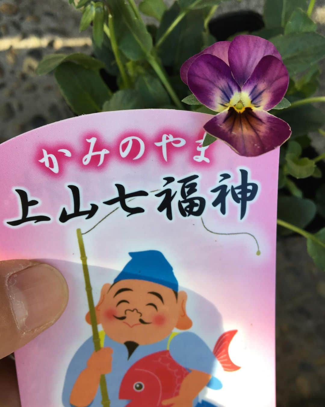 MILLE ECLAT.のグルメインスタ