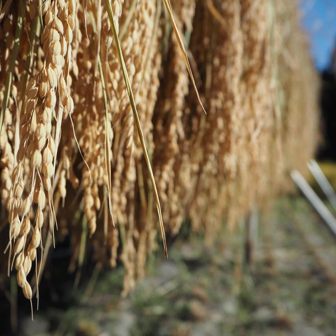 田中菜月のグルメインスタ