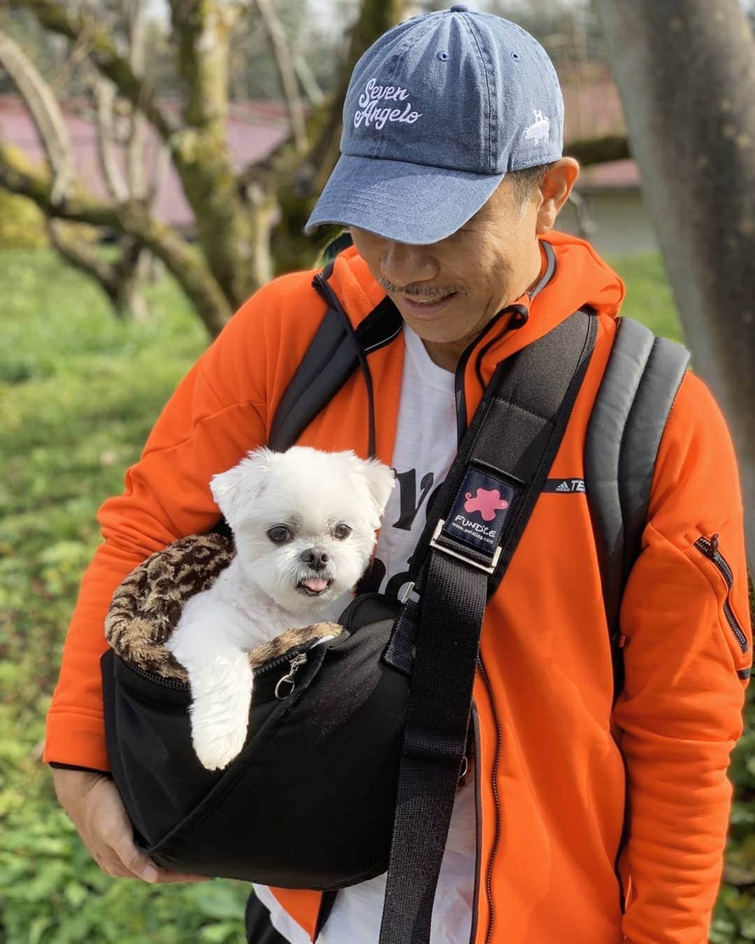 前園真聖さんのインスタグラム写真 - (前園真聖Instagram)「抱っこしてお散歩😊 #アンジェロ #ミックス犬 #前園真聖」11月20日 13時37分 - maezono_masakiyo