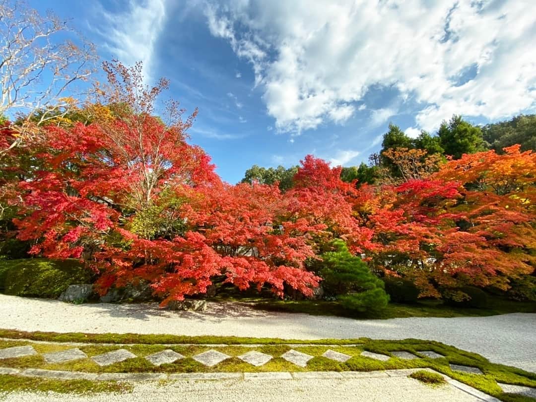 谷中麻里衣さんのインスタグラム写真 - (谷中麻里衣Instagram)「Fall foliage 🍁 . #紅葉 #紅葉狩り #京都 #京都旅行」11月21日 0時37分 - marieyanaka