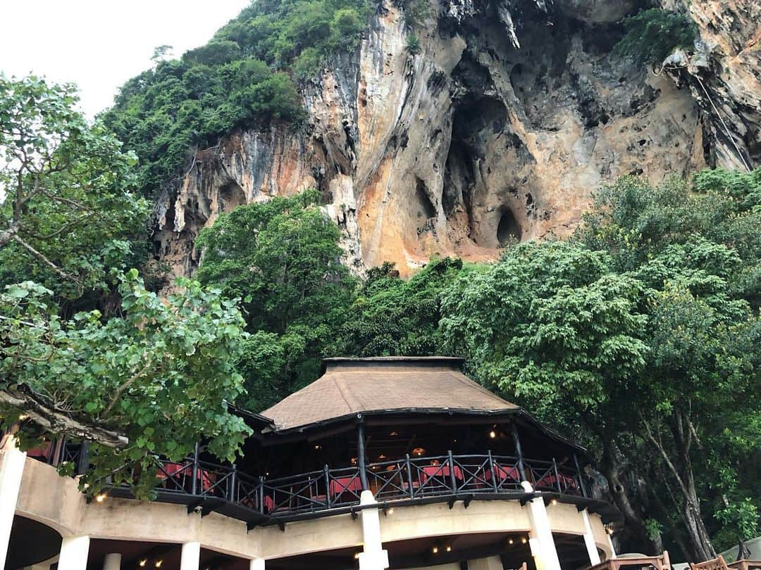 高井直子さんのインスタグラム写真 - (高井直子Instagram)「🏝 • 断崖にのみ込まれそうなrestaurant で。 sunsetを見ながらのDINNER ここは今夜が最後🌙 明日は移動だよ⛵️ • #kravi #rayavadee」11月21日 0時28分 - naokotakai