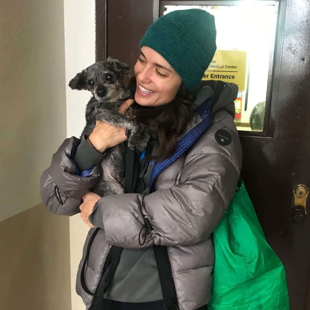 トーレイ・デヴィートのインスタグラム：「Well, here she is!  The newest addition to our home. ❤️ Twiggy is 12 years old and so far I’ve learned that she loves to cuddle, prances like a baby fawn and is as bad at begging for my food as Beau is.  Such a sweet, sweet girl! 😍 If you’re thinking about adding a little fur baby into your home, please #adoptdontshop . There is nothing better ! @pawschicago #Twigs #Homie & #Beau  #❤️ #pawschicago」