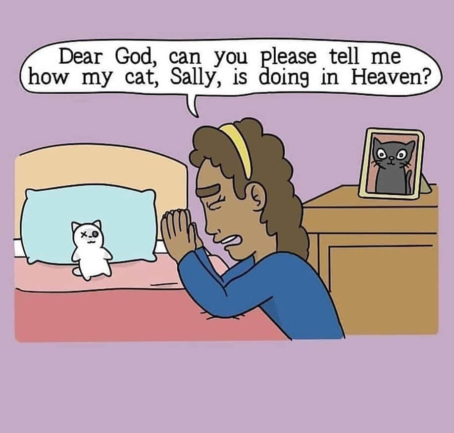 9GAGさんのインスタグラム写真 - (9GAGInstagram)「That’s why cats are evil 😼 ✏ @aogcomic - #9gag #cat @meowed」11月20日 16時59分 - 9gag