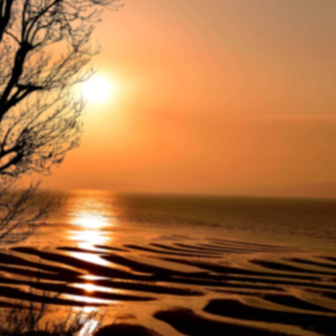 レンズアップルさんのインスタグラム写真 - (レンズアップルInstagram)「.⁣ 🌇人気の夕日スポットをご紹介🌇⁣ ⁣ #日本の渚百選 #日本の夕陽百選 に選ばれた⁣ 絶景スポット『御輿来(おこしき)海岸』。⁣ ⁣ 引き潮の後に現れる風と波による曲線美の砂紋(砂干潟)は絶景です。⁣ ⁣ #干潮 と #夕日 が重なる日は1年のうち数日しかありません。⁣ その奇跡のタイミングを求めて⁣ 多くのプロorアマチュアカメラマンが全国から訪れます。⁣ ⁣ 📌熊本県⁣ 住所：宇土市下網田町⁣ ⁣ #熊本 #御輿来海岸 #絶景 #観光スポット #観光地 #夕日が綺麗 #夕日が好き #夕日 #日本の渚百選 #日本の夕陽百選 #japan #海岸沿い #海岸沿い散歩 #レンズ越しの私の世界 #旅行好きな人と繋がりたい #国内旅行 #秋旅行 #秋旅 #旅が好きな人と繋がりたい #パレンテ #レンズアップル #WAVE #コンタクトレンズ #コンタクト #コンタクトデビュー #カラコン #カラコンレポ #レンズアップル大宮店 #レンズアップル千葉店」11月20日 17時12分 - lensapple