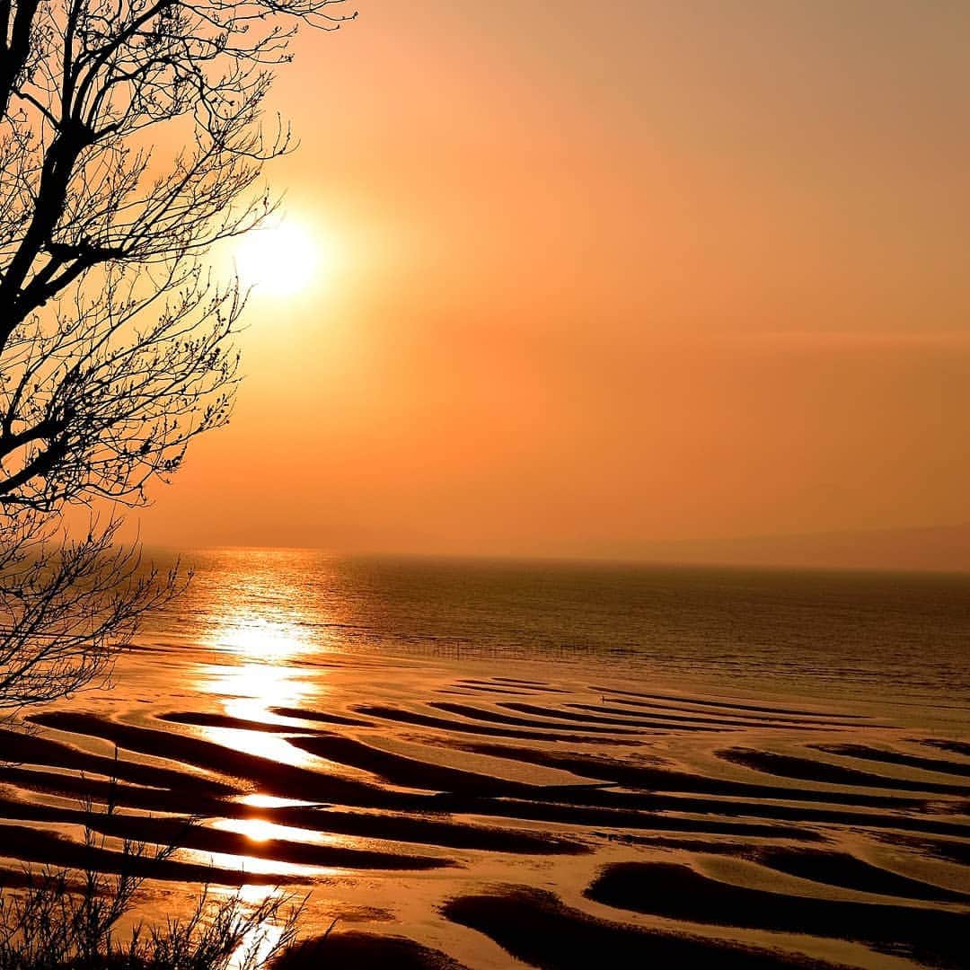 レンズアップルさんのインスタグラム写真 - (レンズアップルInstagram)「.⁣ 🌇人気の夕日スポットをご紹介🌇⁣ ⁣ #日本の渚百選 #日本の夕陽百選 に選ばれた⁣ 絶景スポット『御輿来(おこしき)海岸』。⁣ ⁣ 引き潮の後に現れる風と波による曲線美の砂紋(砂干潟)は絶景です。⁣ ⁣ #干潮 と #夕日 が重なる日は1年のうち数日しかありません。⁣ その奇跡のタイミングを求めて⁣ 多くのプロorアマチュアカメラマンが全国から訪れます。⁣ ⁣ 📌熊本県⁣ 住所：宇土市下網田町⁣ ⁣ #熊本 #御輿来海岸 #絶景 #観光スポット #観光地 #夕日が綺麗 #夕日が好き #夕日 #日本の渚百選 #日本の夕陽百選 #japan #海岸沿い #海岸沿い散歩 #レンズ越しの私の世界 #旅行好きな人と繋がりたい #国内旅行 #秋旅行 #秋旅 #旅が好きな人と繋がりたい #パレンテ #レンズアップル #WAVE #コンタクトレンズ #コンタクト #コンタクトデビュー #カラコン #カラコンレポ #レンズアップル大宮店 #レンズアップル千葉店」11月20日 17時12分 - lensapple