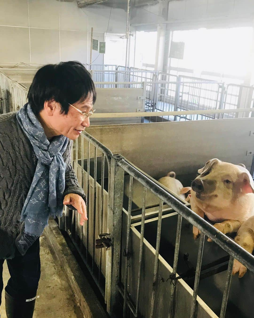 尾木直樹さんのインスタグラム写真 - (尾木直樹Instagram)「農業高校訪問時に豚さん🐷🐽🐖と戯れる (^^) よしよし 今エサあげるからね❣️ - #可愛い #豚さん #農業高校 #高校生 #お世話  #頑張っていました #人懐っこくて #びっくり  #豚さん🐷 と#お話ししました」11月20日 17時39分 - oginaoki_ogimama