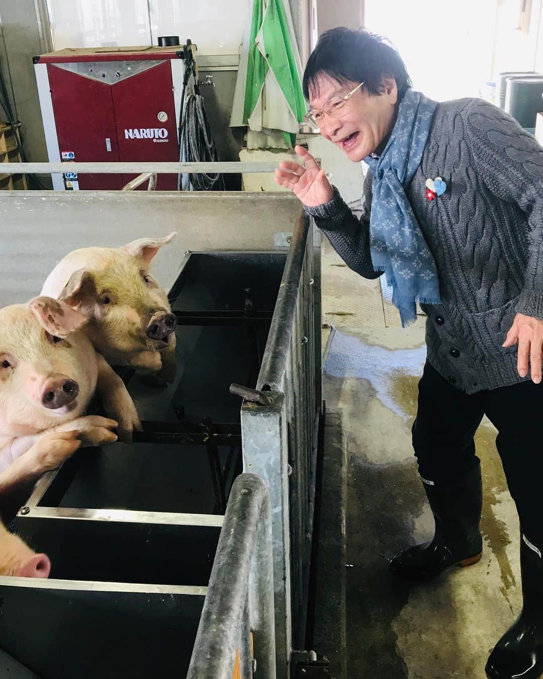 尾木直樹さんのインスタグラム写真 - (尾木直樹Instagram)「農業高校訪問時に豚さん🐷🐽🐖と戯れる (^^) よしよし 今エサあげるからね❣️ - #可愛い #豚さん #農業高校 #高校生 #お世話  #頑張っていました #人懐っこくて #びっくり  #豚さん🐷 と#お話ししました」11月20日 17時39分 - oginaoki_ogimama