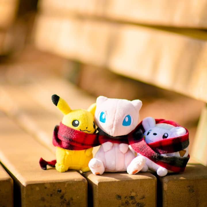 のインスタグラム：「【今日のピカチュウ】 ピカチュウたちはおしゃべりしているみたい✨ みんないっしょなら暖かいね🧣💕 #pikachu #mew #togedemaru #pokemon #pikachu_snap #photooftheday #warm #scarf #ピカチュウ #ミュウ #トゲデマル #おしゃべり #マフラー」