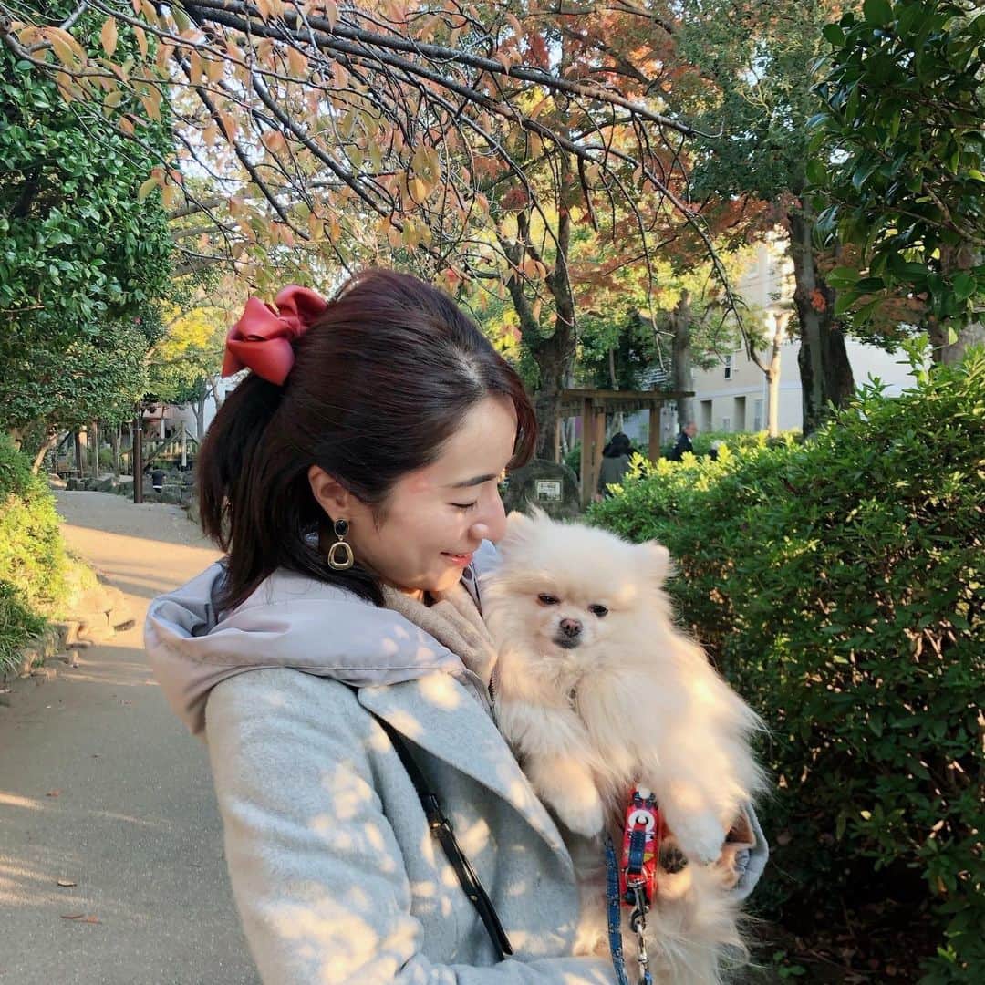 Mayuko Watanabe 渡辺真由子さんのインスタグラム写真 - (Mayuko Watanabe 渡辺真由子Instagram)「先週末に公園に行った時ほんのり紅葉づいていてとても良い天気でした☺️💕それに比べると今日は一気に寒くなりましたね💦 身体が追いつかない😂 ダウンコート、そろそろ出さないです😅 皆さんも風邪に気を付けましょう☺️✨ #子育て中#mama#ママ#公園#週末公園#公園散歩」11月20日 19時56分 - watanabe_mayuko