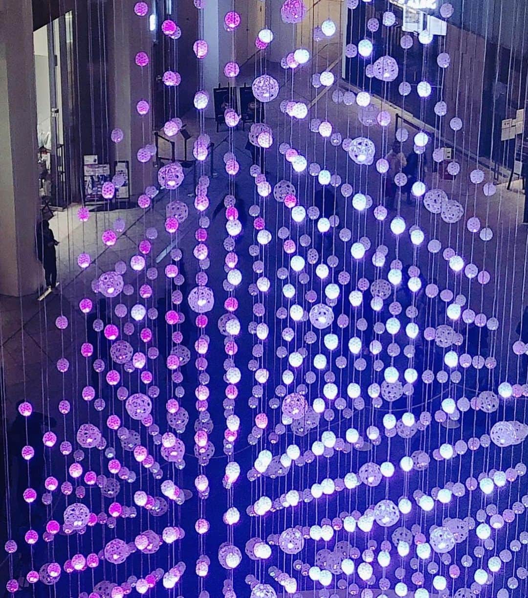 東京ステーションホテルTokyo Station Hotelさんのインスタグラム写真 - (東京ステーションホテルTokyo Station HotelInstagram)「丸の内で人気の”KITTE”クリスマスツリー 本日から灯りがともりました。﻿ 今年は“水引”とライティングを駆使して創ったオリジナルツリーで、とても幻想的な光景です。﻿ ﻿ This dazzling “White Christmas Tree”, using Japanese motif and LED lighting, can be seen at KITTE Marunouchi, beside of Tokyo Station. It makes us feel like we are in a world of white.﻿ —————————————————————﻿ #tokyotravel #tokyotrip #tokyostation #tokyostationhotel #marunouchi #tokyotokyo #smallluxuryhotels #christmastree #festiveseason #tokyochristmas #illumination #forbestravelguide #ホテルステイ #東京ステーションホテル #東京駅 #東京駅舎 #丸の内 #旅記録 #ホテル好き #東京イベント #クリスマスツリー #クリスマス装飾 #ホリデーシーズン #イルミネーション #もうすぐクリスマス #東京イルミネーション #MYTOKYOIS #tokyotokyo #HotelsForTheHolidays」11月20日 20時12分 - tokyostationhotel