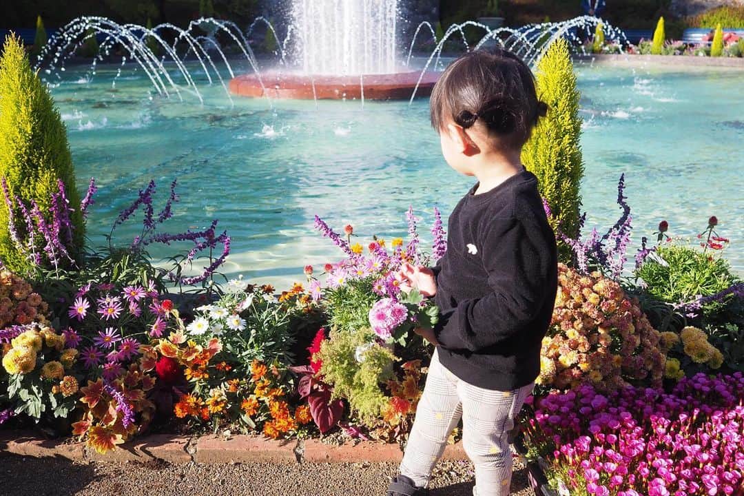 maatamagosanさんのインスタグラム写真 - (maatamagosanInstagram)「強羅公園の噴水池にて」11月20日 21時09分 - maatamagosan