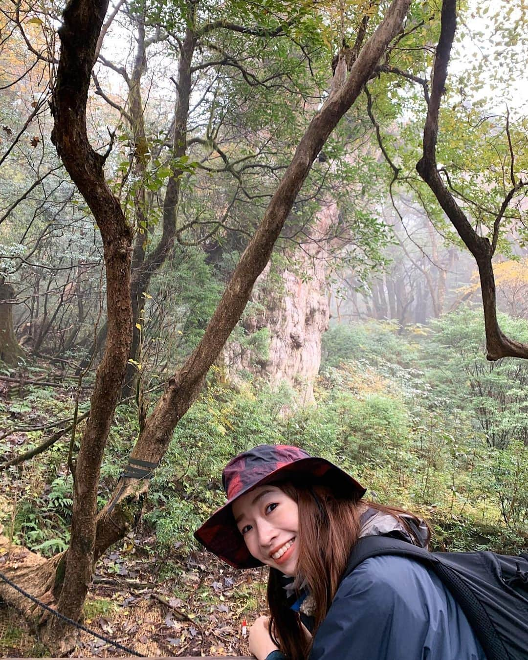 石井亜美さんのインスタグラム写真 - (石井亜美Instagram)「⛰ . ずっと憧れだった場所、屋久島に来ています🥺 ２日目はAM2:30起床、 10時間のトレッキングで縄文杉へ....！！ . 美しい大自然のパワーを肌で感じて、 息を飲むような景色の連続に心洗われたあああ！！ . そして終わった後の達成感ったら🤣🤣 (１日で3万950歩、往復22キロの山道！) . 本当に途中は過酷すぎてどうしようかと思ったけど笑 @miriishii & @yuyaimamura_ の ハッピーな二人のおかげで楽しくゴールできました！！ . いやーーーー屋久島はやっぱり凄い。。 自然の強さをしっかり受け取って帰ってきます！！ (今回はYouTubeも撮影しているよ！ 映像監督の優也くんの撮影する屋久島が 美しすぎるんだわ...⛰ SpecialなVLOGになると思う🤤✌️編集楽しみ！) . . #yakushima #kyushu #yakushimaisland #jomonsugi #屋久島」11月20日 21時16分 - ami_ishii_