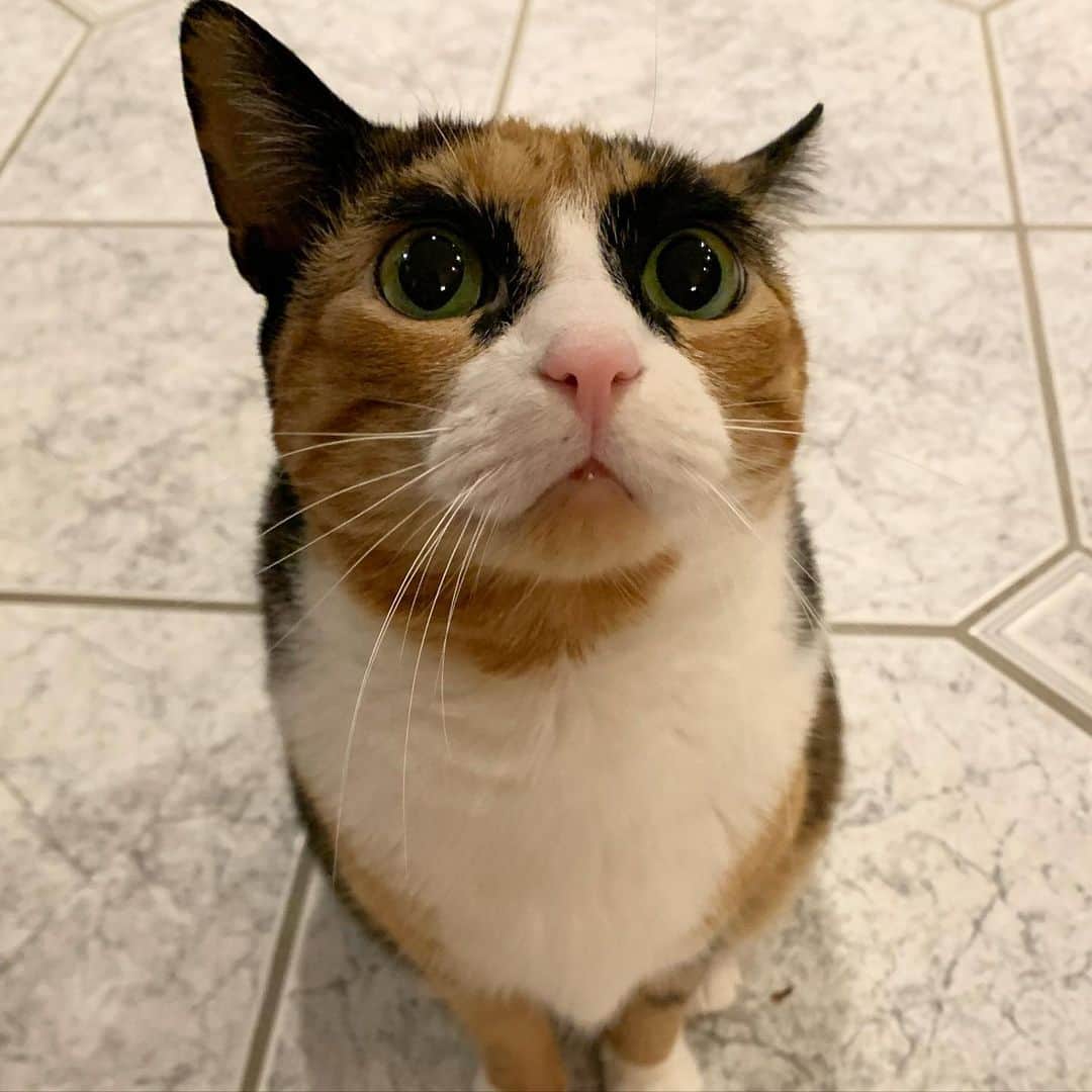 のインスタグラム：「How is everyone’s week going?」