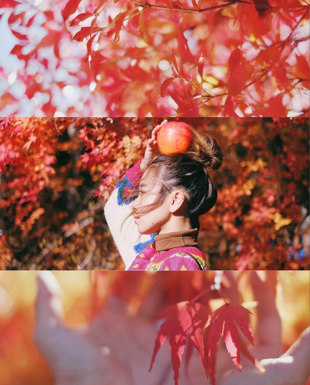 Y U R I Eさんのインスタグラム写真 - (Y U R I EInstagram)「@kyukaruizawa.kikyo の周りをお散歩。 綺麗な赤をたくさん集めたよ🍁♥️緑のイメージが強い軽井沢だけど、秋もとってもステキッ！！ 道端で買ったシナノスウィート、とっても大きかったから顔と比べたいと思って乗せてみたけど伝わるかなぁ？😂🍎褒められ派手ニットはしゅんぴまま（お義母さん）からのおさがり🌈 @curiocollection  #ユニークで特別な時間を#軽井沢#旧軽井沢#紅葉#旅#りんご#シナノスウィート#国内旅行#旅#ビール旅#赤#CurioCurates#ad#explorejapan#nagano#karuizawa#autumncolors#autumnleaves」11月20日 22時19分 - yuriexx67