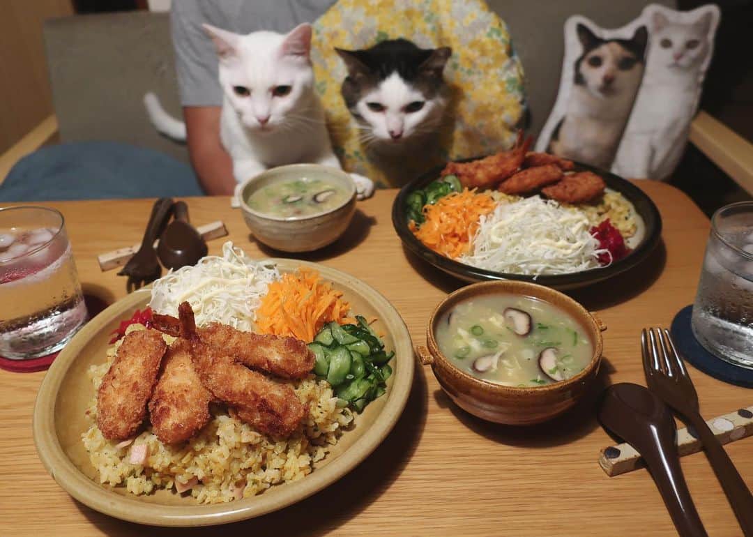 八、おこめさんのインスタグラム写真 - (八、おこめInstagram)「炊飯器でカレーピラフ風🥄 見てるw見てるw 今日の夕飯ではない…。前に食べたや〜つ。 近所のお弁当屋さんの海老フライとササミカツトッピング♩ 久しぶりにキャロットラペ美味しかったな〜♩ と、中華コーンスープ。 #八おこめ #ねこ部 #cat #ねこ #猫 #ネコ #八おこめ食べ物」11月20日 22時59分 - naomiuno