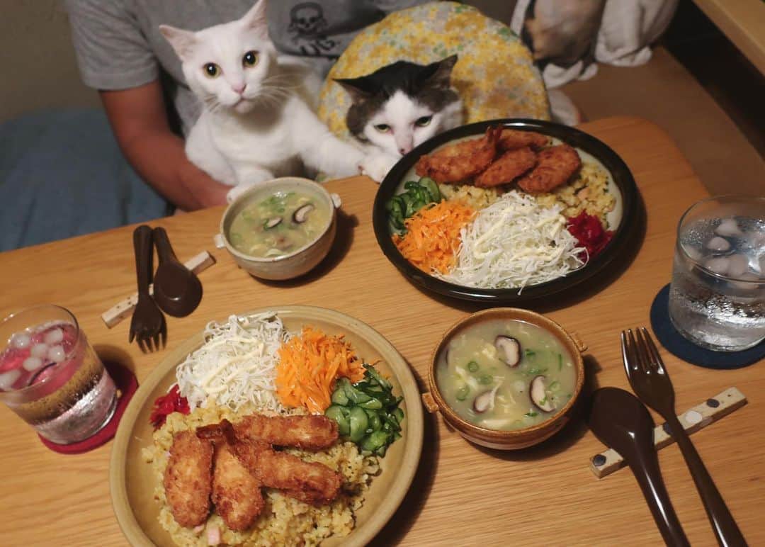 八、おこめさんのインスタグラム写真 - (八、おこめInstagram)「炊飯器でカレーピラフ風🥄 見てるw見てるw 今日の夕飯ではない…。前に食べたや〜つ。 近所のお弁当屋さんの海老フライとササミカツトッピング♩ 久しぶりにキャロットラペ美味しかったな〜♩ と、中華コーンスープ。 #八おこめ #ねこ部 #cat #ねこ #猫 #ネコ #八おこめ食べ物」11月20日 22時59分 - naomiuno