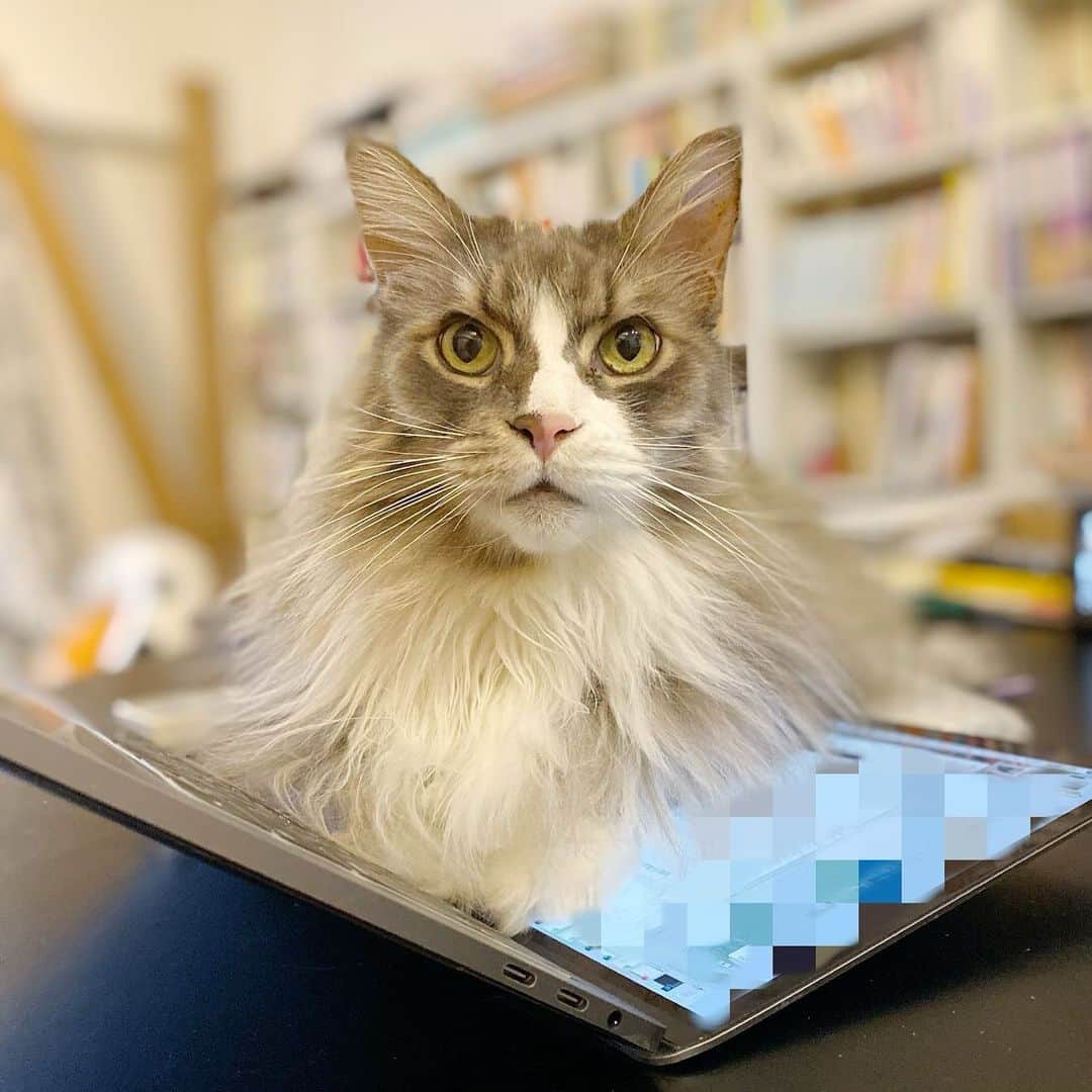 相沢あいのインスタグラム