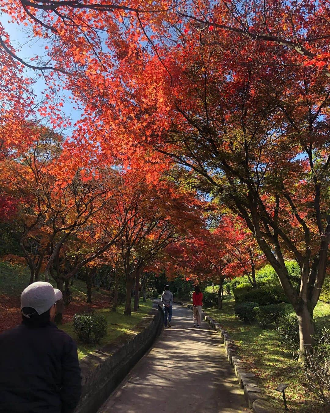 ボールボーイ佐竹さんのインスタグラム写真 - (ボールボーイ佐竹Instagram)「今日の満点ママOKIRAKUツアーズは、「寒い季節に行きたい！お酒と人の温もりにふれる西条ツアー！」日本酒が美味しい時期がやってきました！！売り切れ必至、人気のスイーツから日本酒に合うお料理まで、西条に行くなら是非行って欲しいお店をご紹介します！ #満点ママ #西条　#岡崎花帆子　#ボールボーイ佐竹」11月21日 9時25分 - ballboysatake