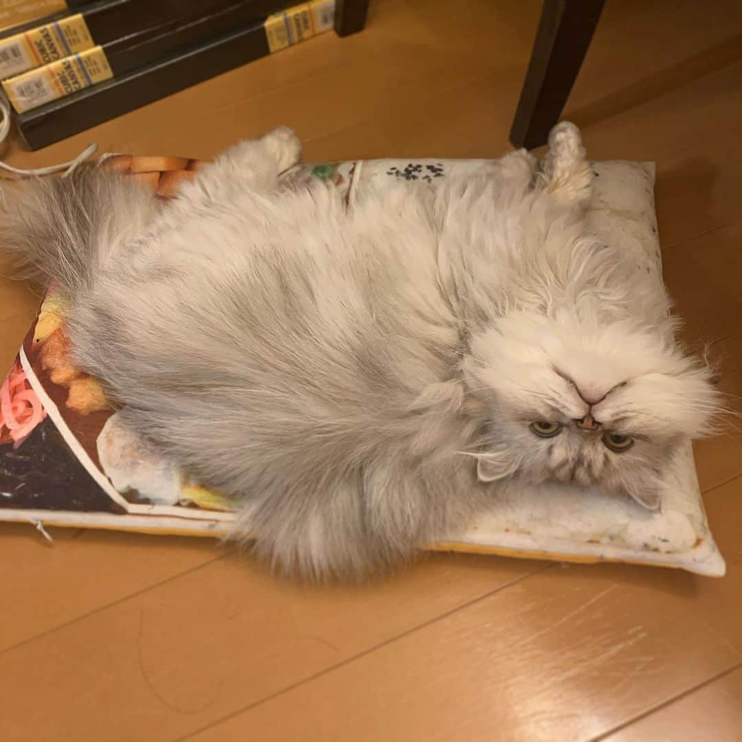 SATOKOのインスタグラム