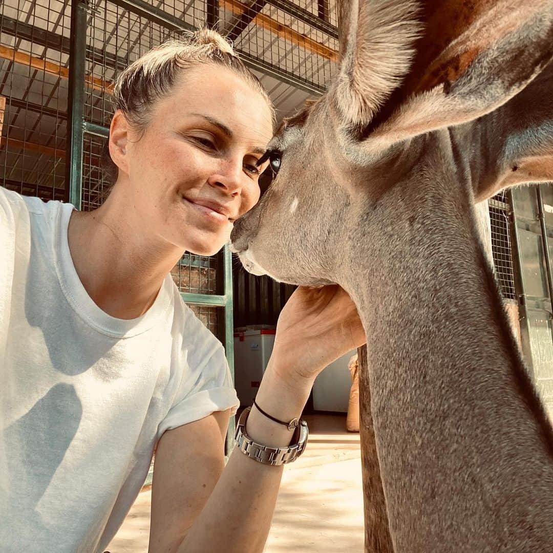 フィービー・ダールさんのインスタグラム写真 - (フィービー・ダールInstagram)「If you could wake up every morning and jump out of bed, excited about what you do - what would it be? To love and care for animals is the purpose of my existence, since I was a child I loved being with animals more than people and would seek them out, they bring me immense happiness and joy. I have a way of speaking to them without using words and an ability to care for them as if they were an extension of myself. All I want is to show each individual soul what true love and compassion feels like. #kenya #samburu #retetielephantsanctuary」11月21日 1時22分 - phoebe