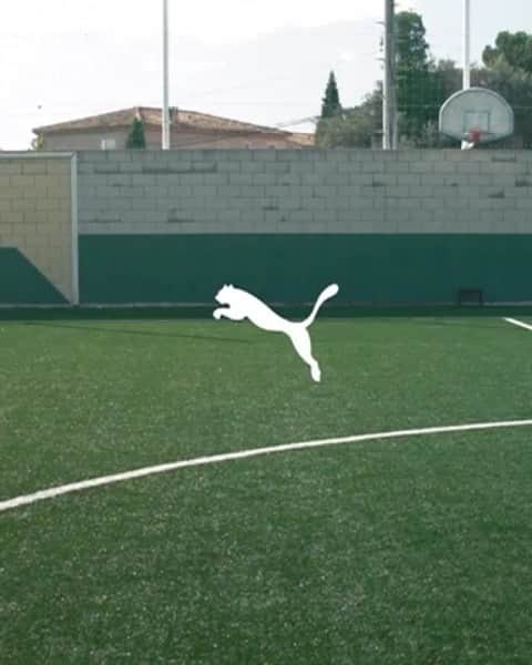 ディミトリ・ペイェのインスタグラム：「FLASH 🥶⚡🌩🐾 #ForeverFaster #NewLevels @pumafrance @pumafootball @olympiquedemarseille @equipedefrance @famillespoir #Boss #10 #⚪️Ⓜ️ #LMV #NMP-10 #pumafam #TeamBoumBam」