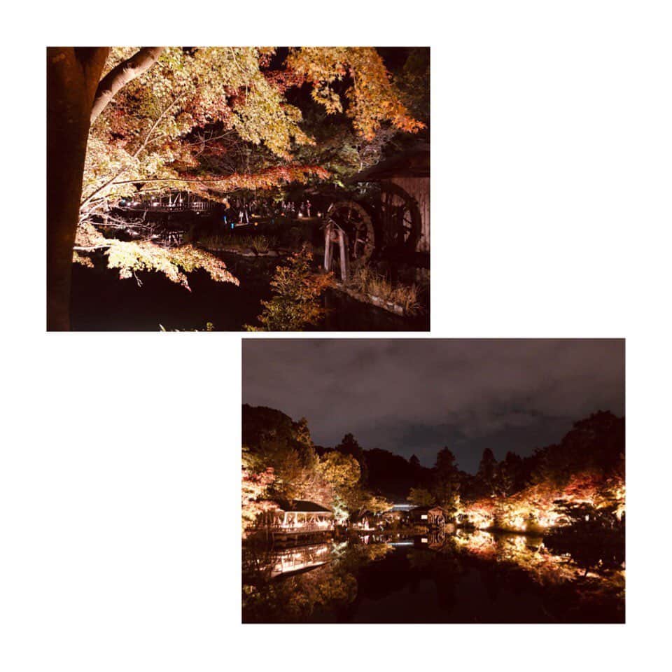 小河結香さんのインスタグラム写真 - (小河結香Instagram)「紅葉ライトアップ🍁🍂 #東山動植物園 #紅葉 #紅葉ライトアップ」11月21日 1時44分 - yun2world
