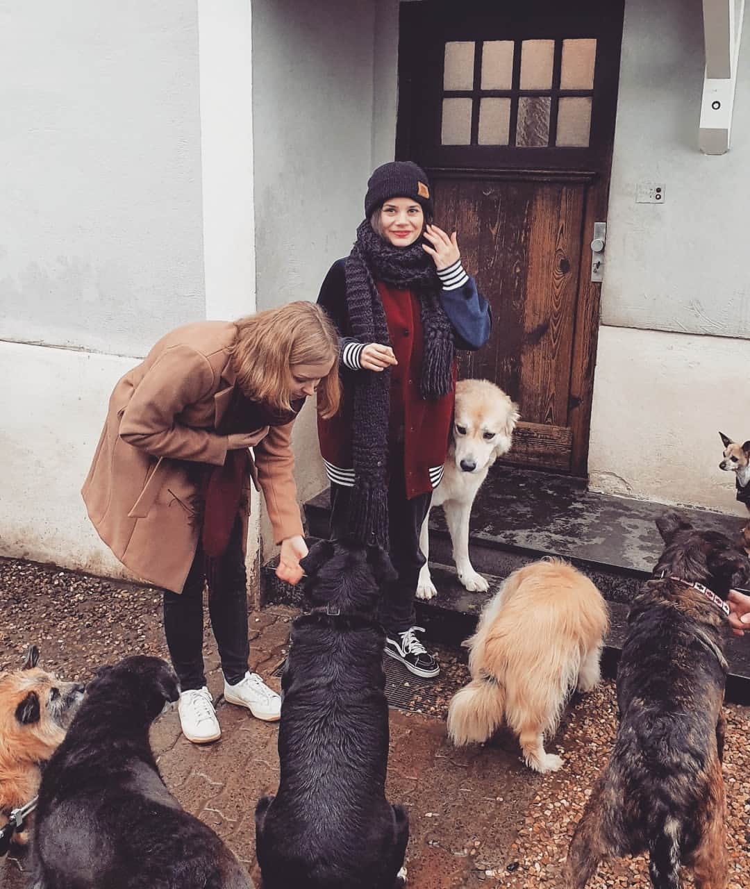 Joyce Ilgさんのインスタグラム写真 - (Joyce IlgInstagram)「Ihr könnt Hunden helfen, ein liebevolles Zuhause zu finden ❤! Ich bin Teil der #RescueChewieDog Kampagne von @samsungmobile_de ❤🐶. @lisasophielaurent & ich versuchen mit Hilfe unserer Communitys Patenschaften & liebevolle Zuhause für die kleinen & großen Schätze zu finden, die wir im Tierrefugium Hanau (Mix aus Tierheim & Gnadenhof) besucht haben. Wie ihr helfen könnt? Teilt die Infos mit euren Freunden, damit es möglichst viele Leute sehen und der perfekte neue Ort für die Hunde gefunden werden kann! In meiner Story stelle ich ab heute jeden Tag einen anderen Vierbeiner vor. #adoptdontshop >>> Achtung! Tiere sind keine Weihnachtsgeschenke. Einen Hund zu haben sollte wohl überlegt sein & grade für die Hunde aus diesem Projekt, die zuckersüß waren, aber teilweise schlimme Sachen erlebt haben, wäre es furchtbar ihr neues Zuhause wieder verlassen zu müssen. Sie sollen nicht rum gereicht werden, sondern endlich ankommen können.」11月21日 2時24分 - joyceilg