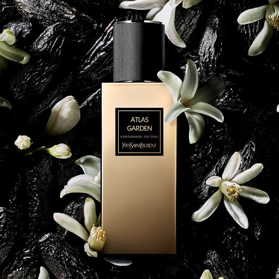 Yves Saint Laurent Beautyさんのインスタグラム写真 - (Yves Saint Laurent BeautyInstagram)「Inspired by the fervid Orientalist dream that would revolutionize couture.  The Atlas Garden pays homage to Morrocco and all its beauty with orange blossom, sparkling neroli and tonka bean. LE VESTIAIRE DES PARFUMS COLLECTION ORIENTALE ATLAS GARDEN EAU DE PARFUM #yslbeauty #atlasgarden #levestiairedesparfums」11月21日 3時59分 - yslbeauty