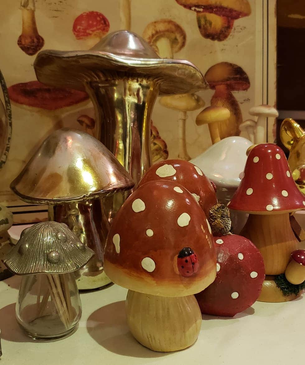 梅田陽子さんのインスタグラム写真 - (梅田陽子Instagram)「その名もマッシュルーム🍄さんという、沢山きのこを使ったフレンチへ。珍しいキノコも沢山いただけました。秋だねぇ。  #マッシュルーム#きのこ#きのこ料理#フレンチ#恵比寿#mushroom#mushroom🍄#再訪したいお店」11月21日 10時32分 - yokoumeda