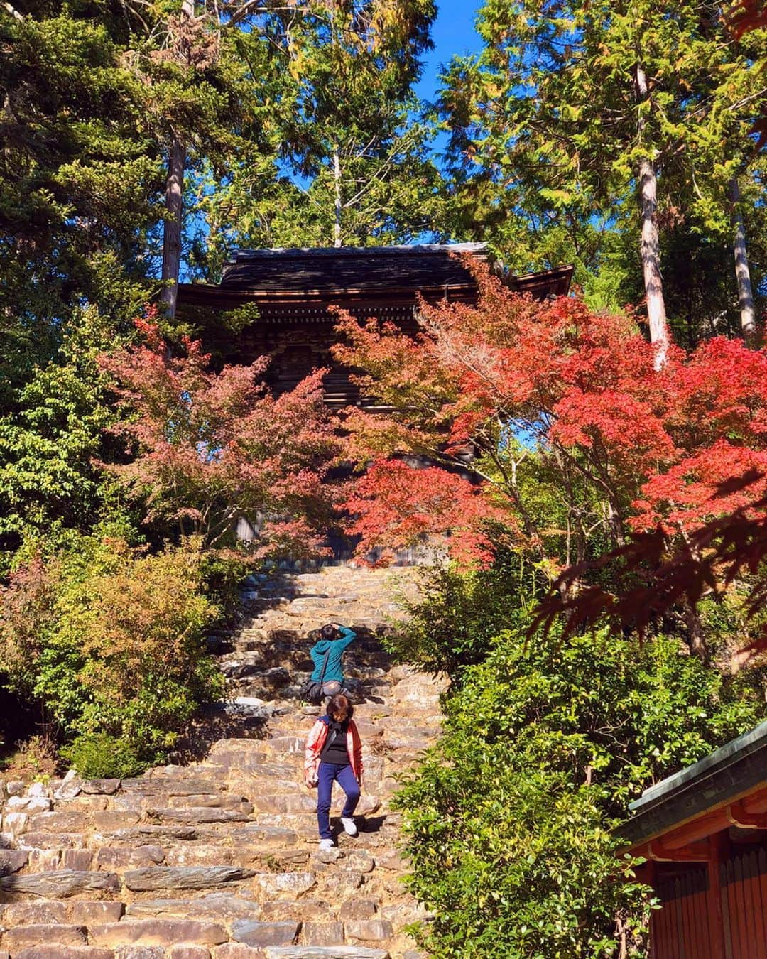 hama_aki_pppさんのインスタグラム写真 - (hama_aki_pppInstagram)「京都市右京区#神護寺 (スライドして下さい) Location Kyoto Japan (Swipe)  2019.11.10  西明寺からの神護寺🚶‍♀️💨行きました。  #神社仏閣  #寺院仏閣  #日本の絶景  #美しい日本  #そうだ京都行こう  #日本庭園  #おとな旅プレミアム  #天授庵  #絶景delic  #はなまっぷ  #japanesetemple  #japanesegarden  #look_japan  #total_asia  #total_autumn  #otonatabi_japan  #jalan_travel  #special_spot_  #raw_japan  #wu_japan  #ippawards  #earth_superior  #top_favourite_shots」11月21日 6時20分 - hama_aki_ppp